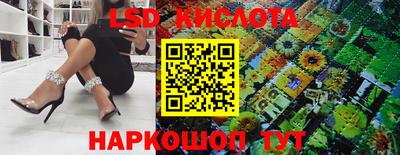 spice Владимир