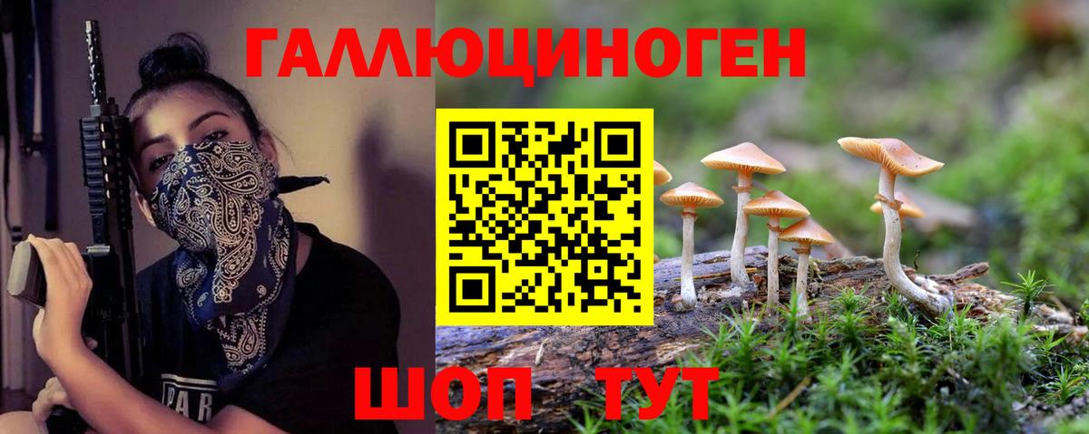 Псилоцибиновые грибы ЛСД Вольск