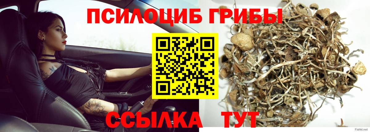 Галлюциногенные грибы ЛСД  Псилоцибиновые грибы MAGIC MUSHROOMS  Вольск  Вход с VPN 